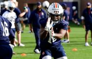 Image via Auburn University